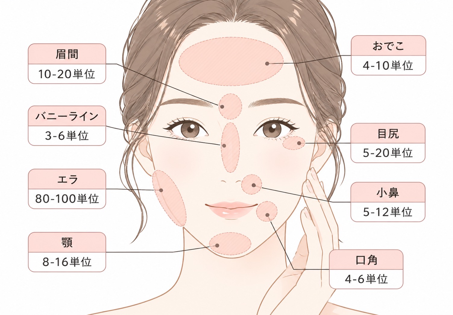 ボトックス部位別単位の目安